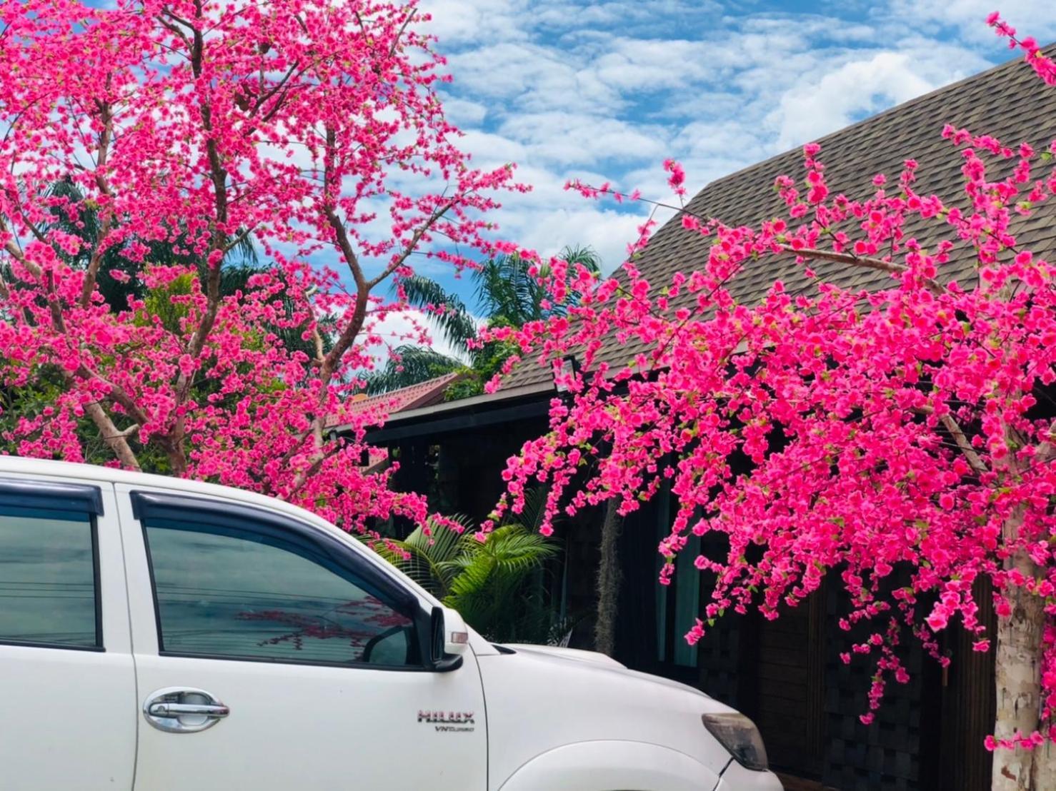 Kob Suk Resort K7 , K10 シチョン エクステリア 写真